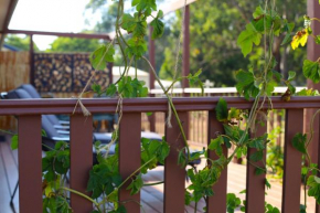 Hotels in Trentham East